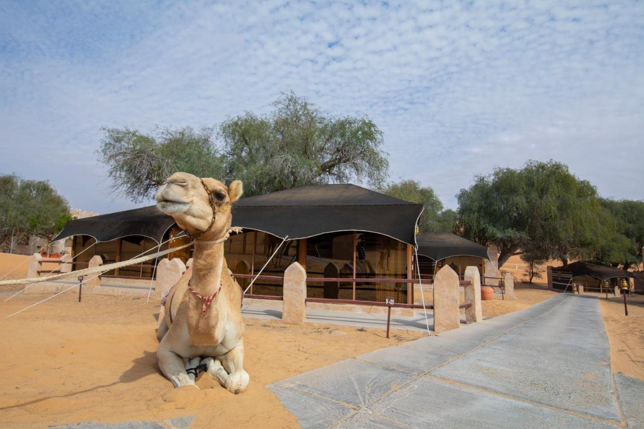 Thousand Nights Camp Shahiq Exterior photo